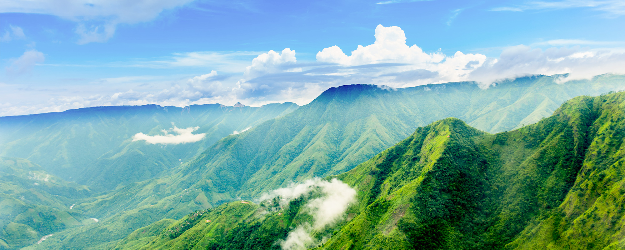 Pleasant North East 7 Days